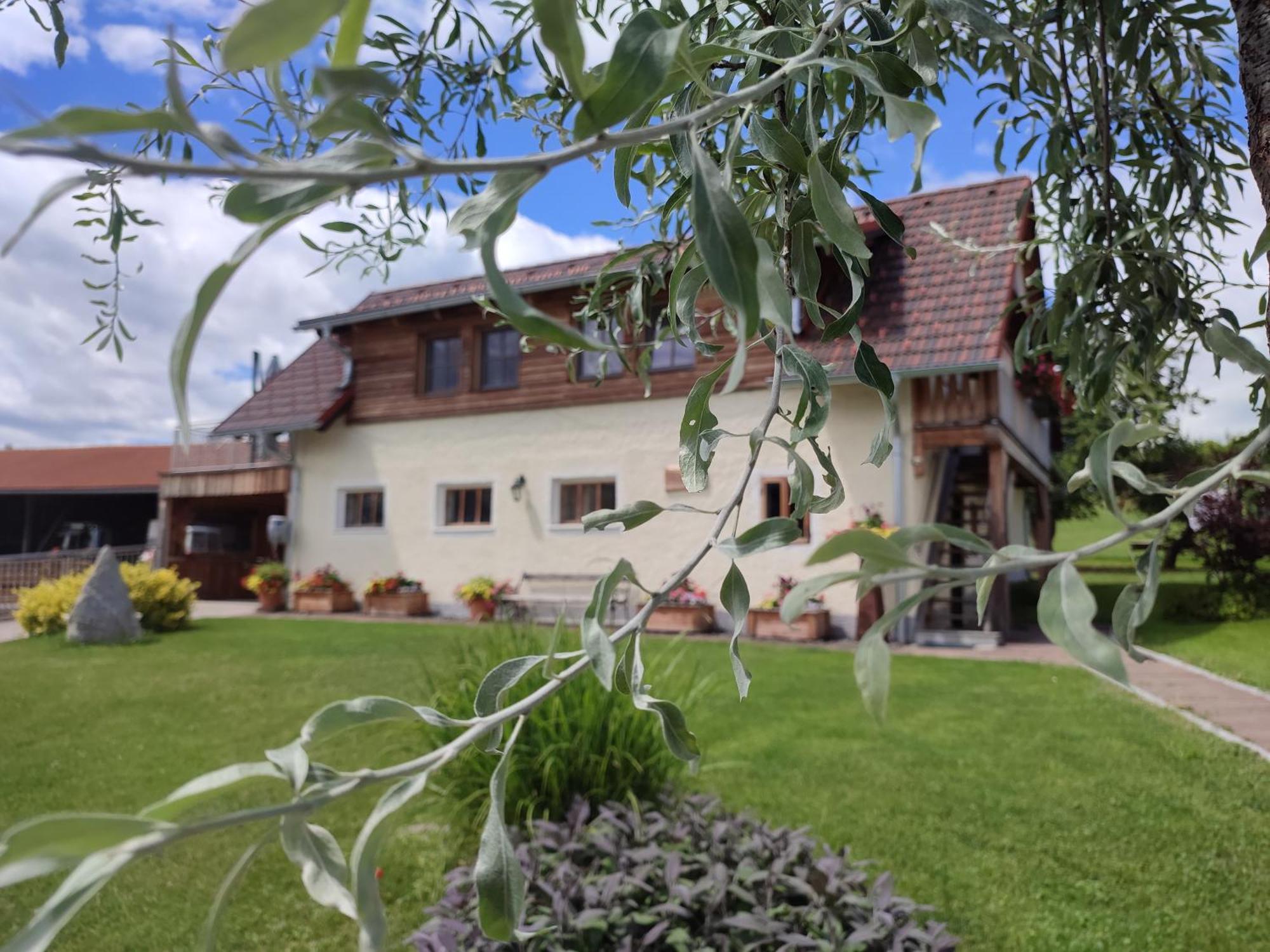 Promschhof Lägenhet Semriach Exteriör bild